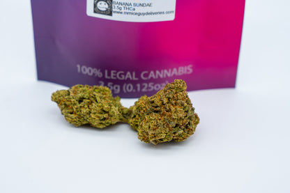 Banana Sundae - Big Bud Plus+