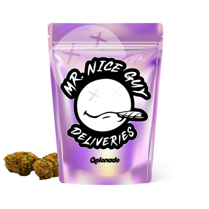 Gelonade - Big Bud Plus+
