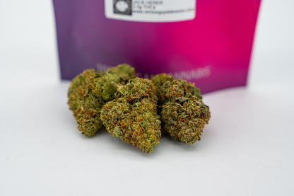 Jack Herer - Big Bud Plus+