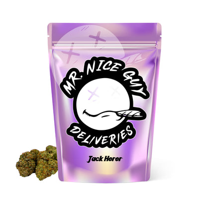 Jack Herer - Big Bud Plus+