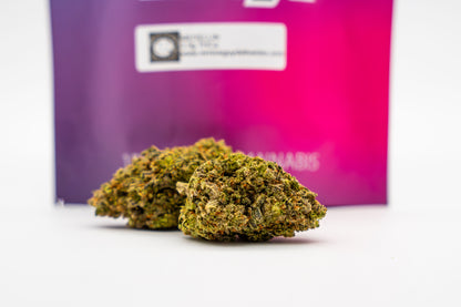 Medellin - Big Bud