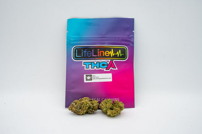 Pave - Big Bud Plus+