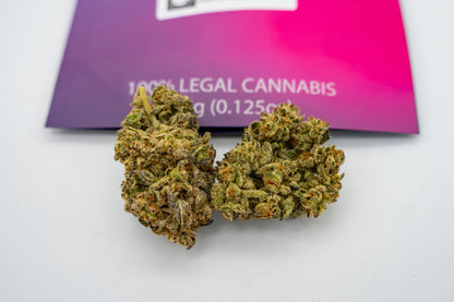 Pave - Big Bud Plus+