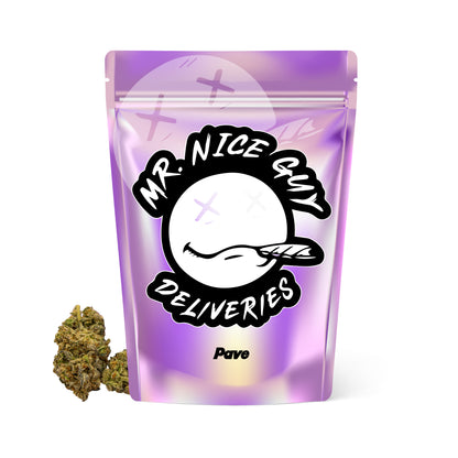 Pave - Big Bud Plus+