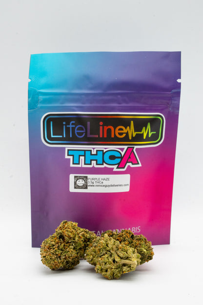 Purple Haze - Big Bud