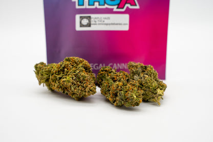 Purple Haze - Big Bud