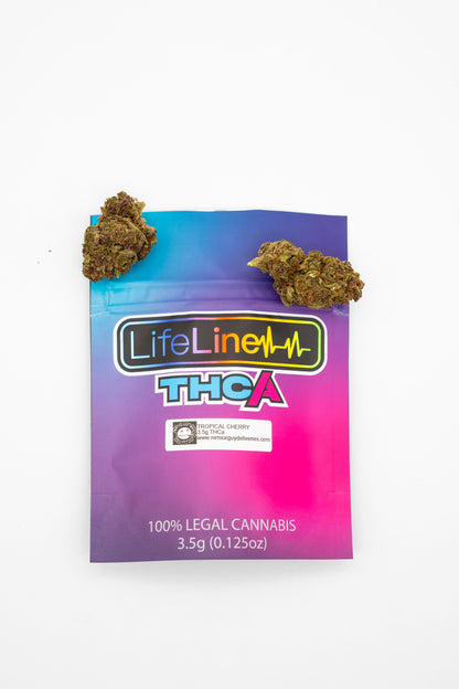 Tropical Cherry - Big Bud Plus+