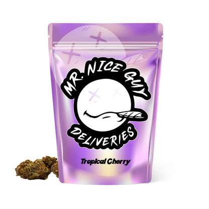 Tropical Cherry - Big Bud Plus+