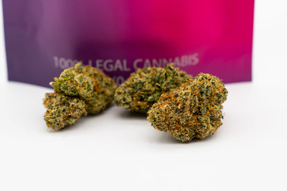 Lemon Cherry - Big Bud Za